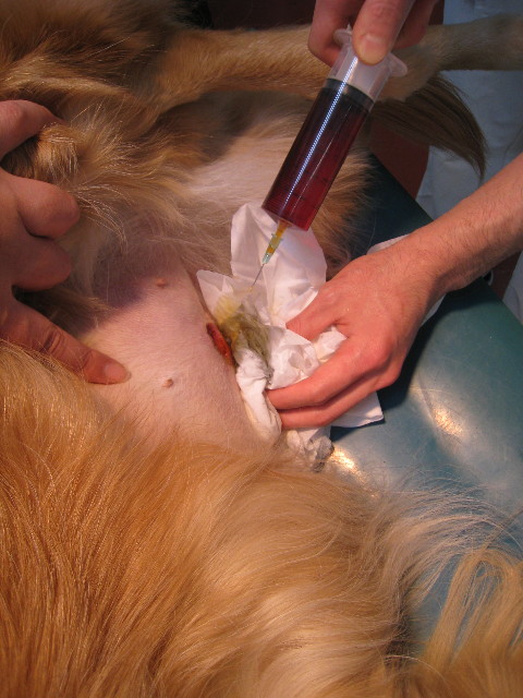 ファイル 664-2.jpg