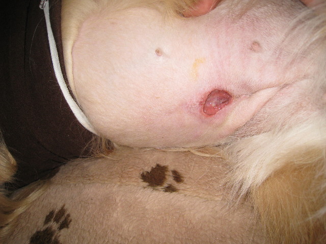 ファイル 664-5.jpg