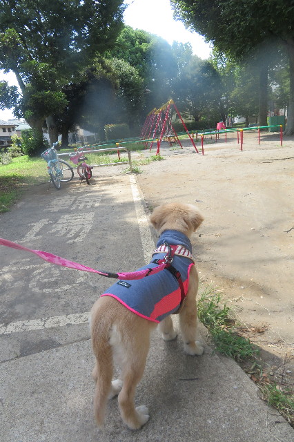 ファイル 6640-1.jpg