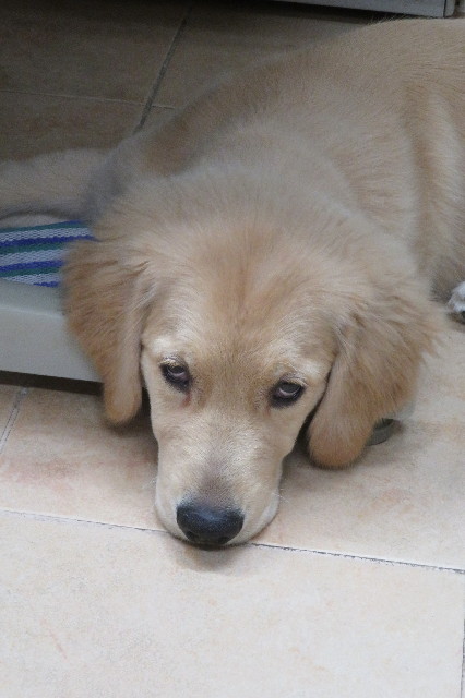 ファイル 6641-2.jpg