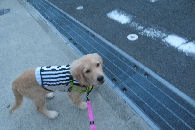 ファイル 6641-3.jpg