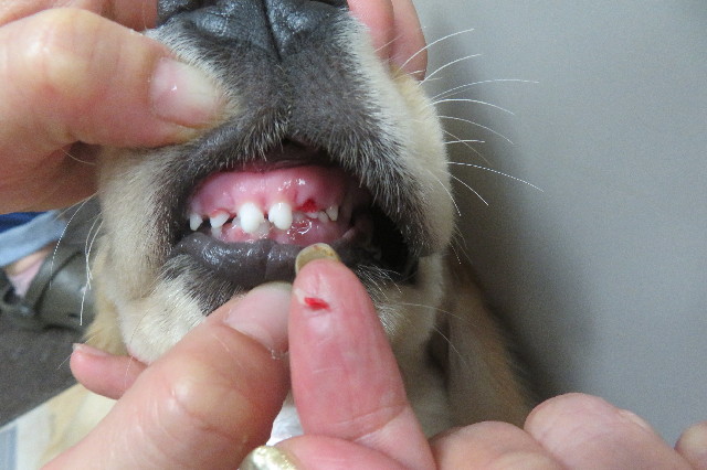 ファイル 6642-5.jpg