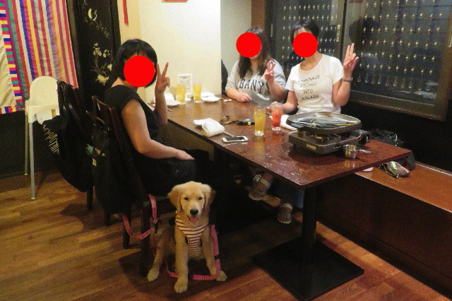 ファイル 6644-1.jpg