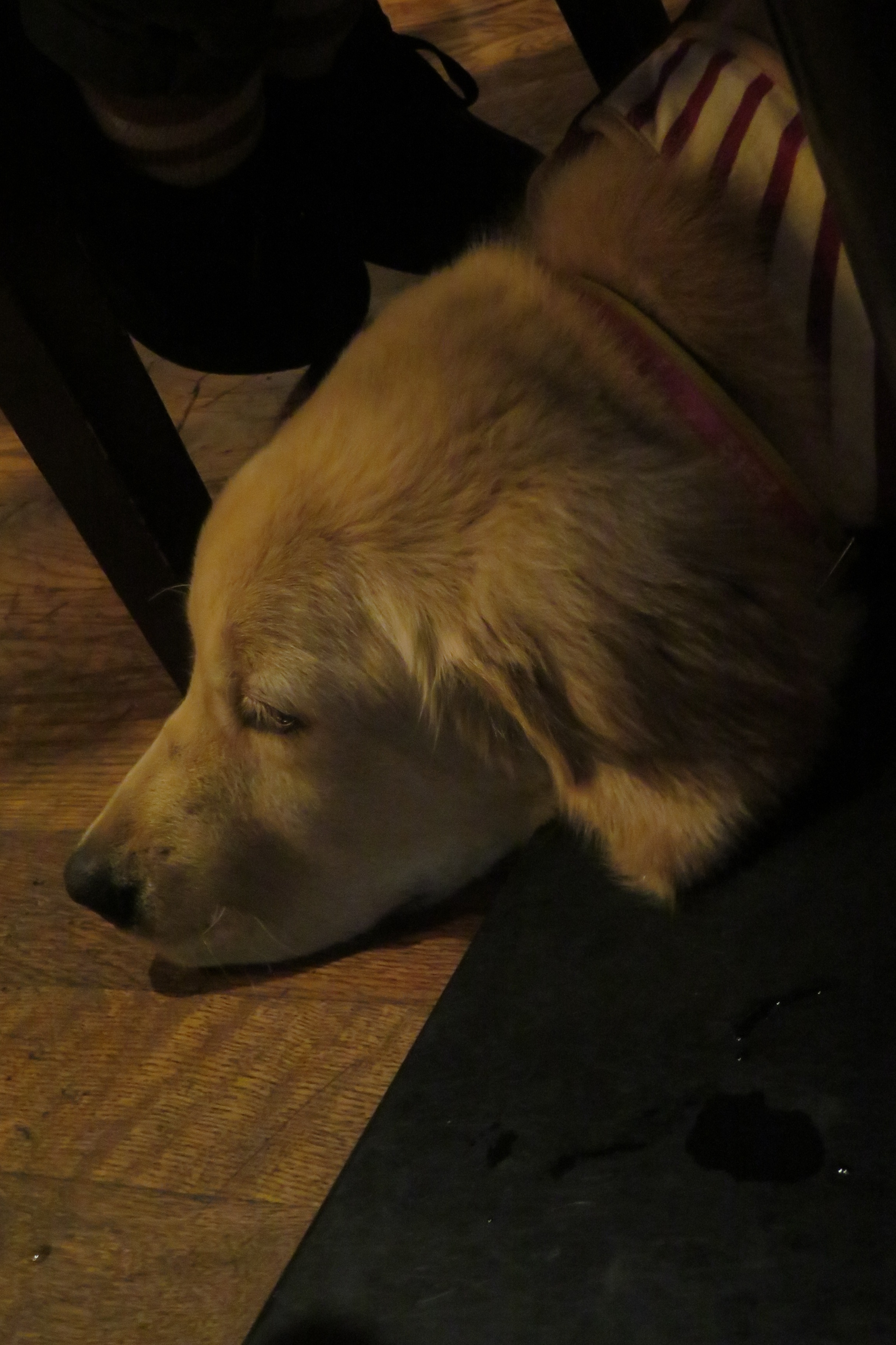 ファイル 6644-4.jpg