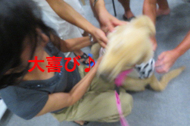 ファイル 6644-5.jpg