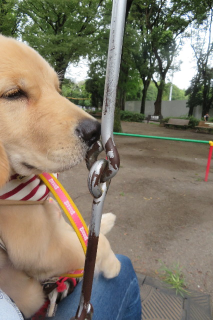 ファイル 6645-3.jpg