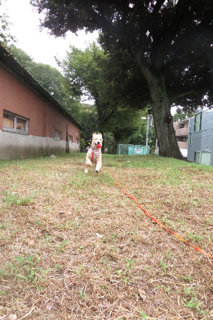 ファイル 6645-4.jpg