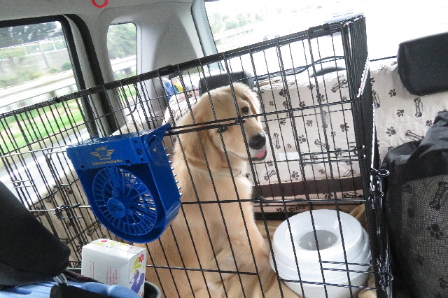 ファイル 6647-2.jpg