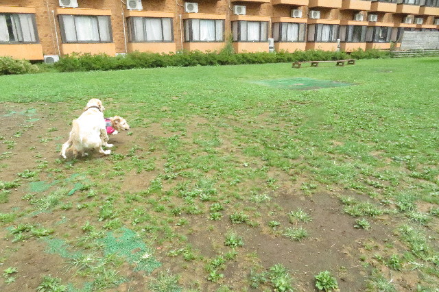 ファイル 6647-4.jpg