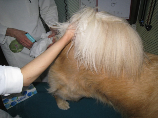 ファイル 665-2.jpg