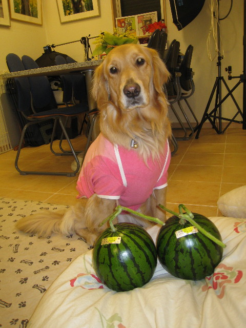 ファイル 665-3.jpg