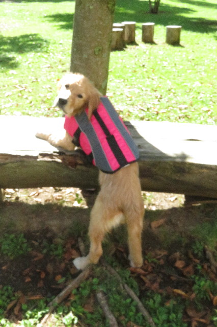 ファイル 6650-1.jpg