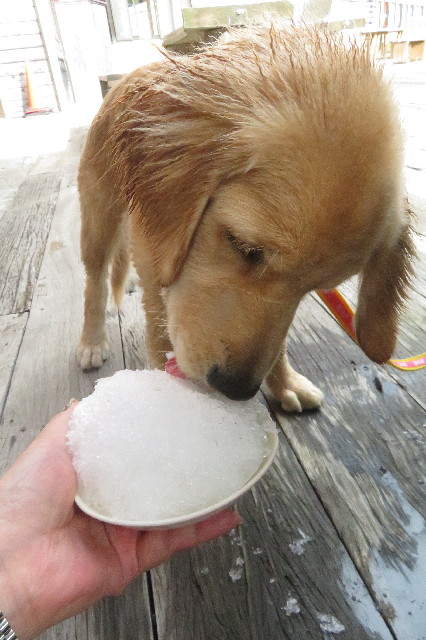 ファイル 6651-2.jpg