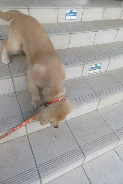 ファイル 6651-5.jpg