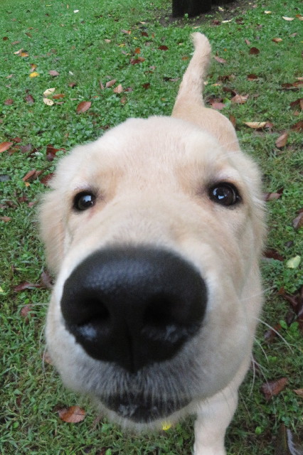 ファイル 6655-1.jpg