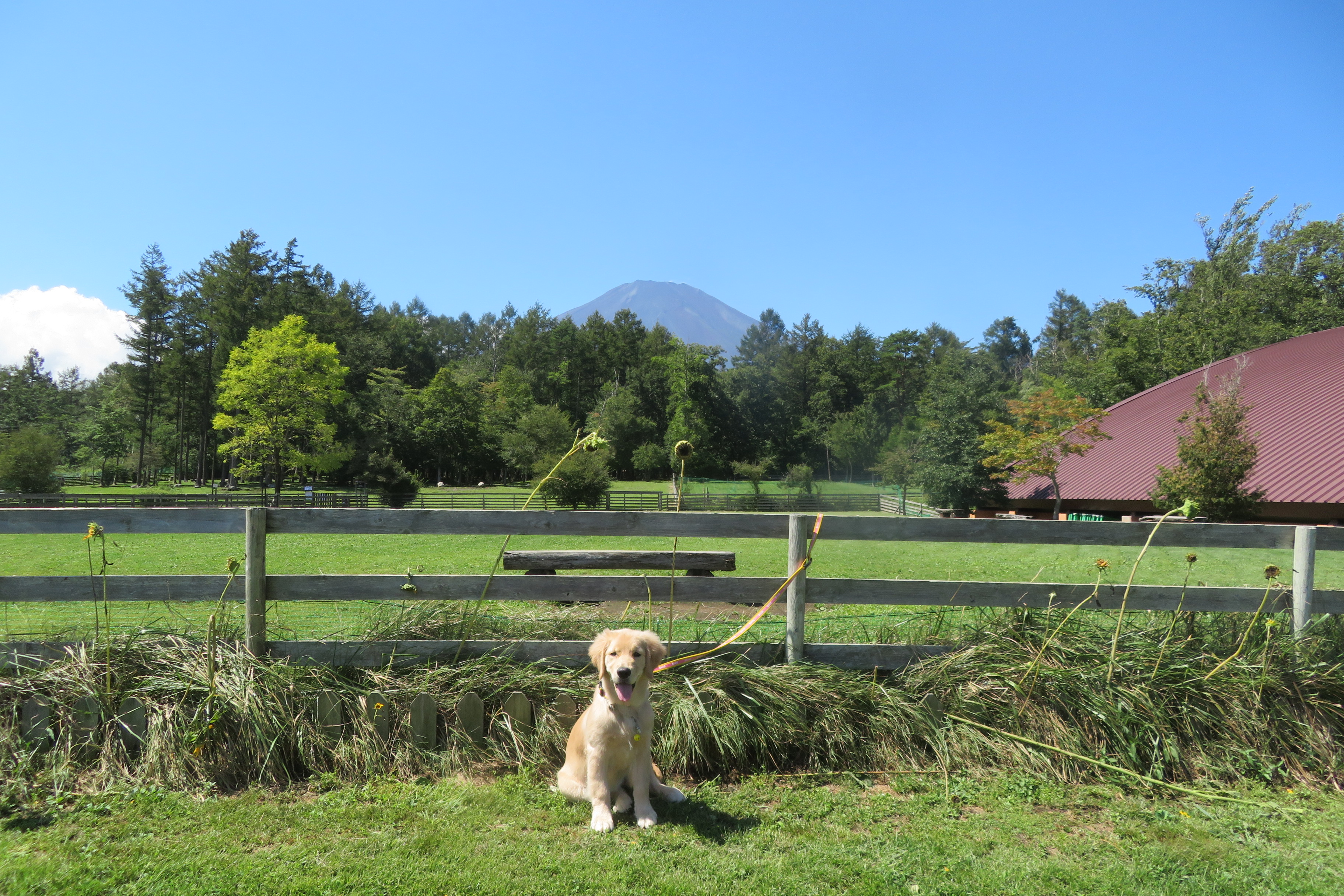 ファイル 6657-1.jpg