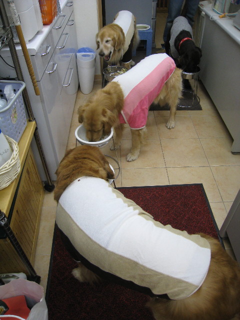 ファイル 666-2.jpg