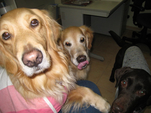 ファイル 666-3.jpg