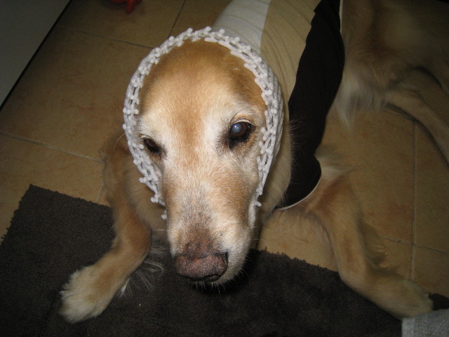 ファイル 666-4.jpg