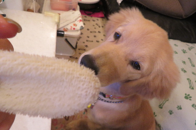 ファイル 6663-5.jpg