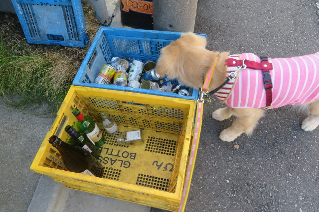 ファイル 6664-2.jpg