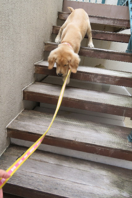 ファイル 6667-2.jpg