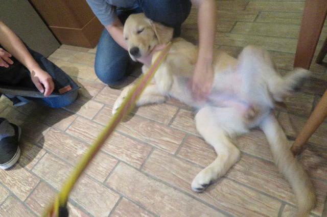 ファイル 6667-3.jpg