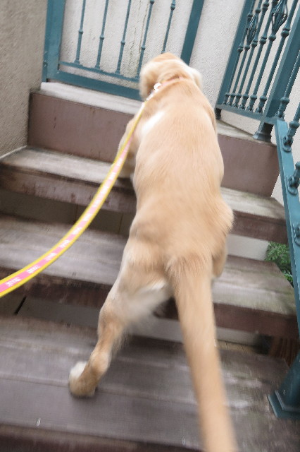 ファイル 6667-5.jpg