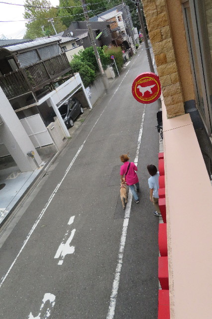 ファイル 6668-2.jpg