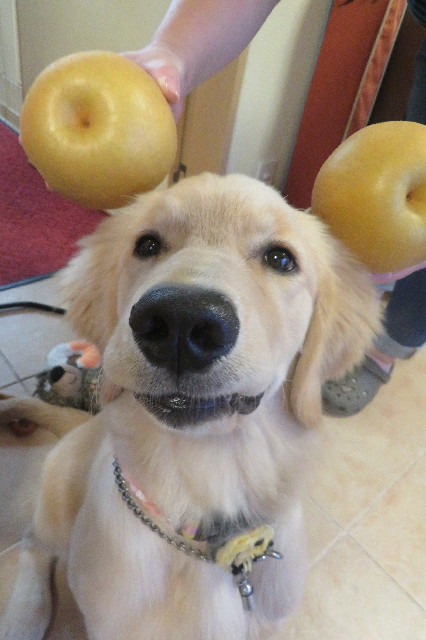 ファイル 6668-4.jpg