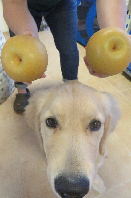 ファイル 6668-5.jpg