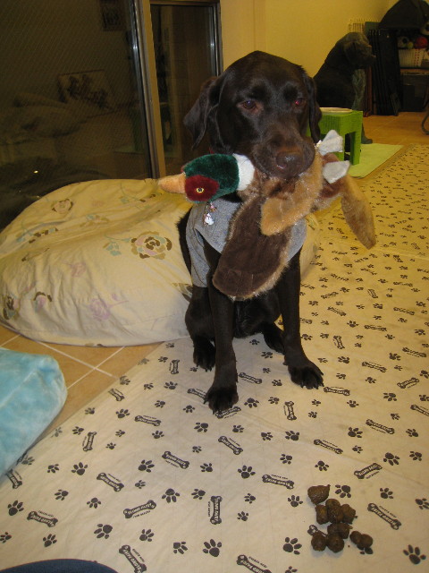 ファイル 667-1.jpg