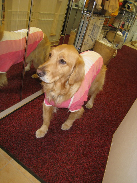 ファイル 667-3.jpg