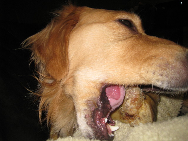 ファイル 667-5.jpg