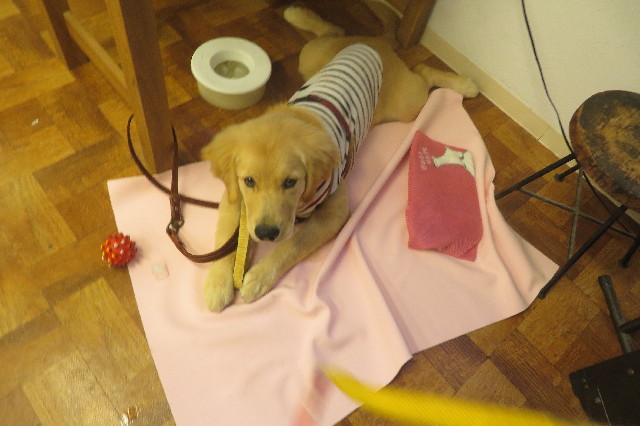 ファイル 6670-2.jpg