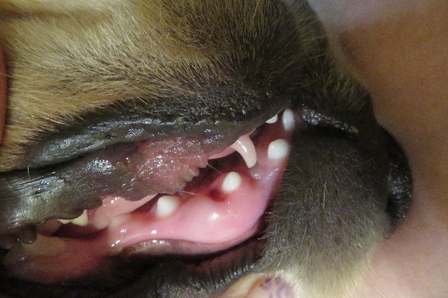 ファイル 6670-5.jpg