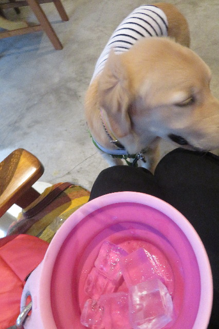 ファイル 6671-4.jpg