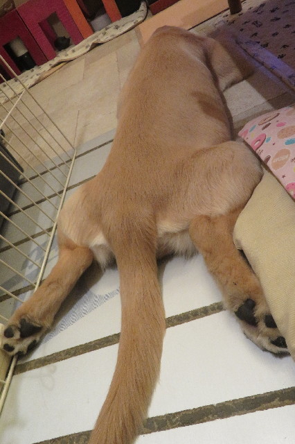 ファイル 6672-5.jpg