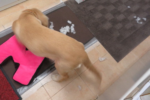 ファイル 6674-2.jpg