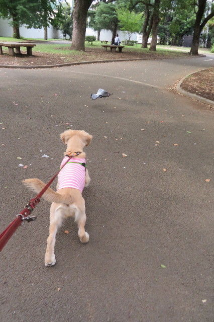 ファイル 6674-3.jpg