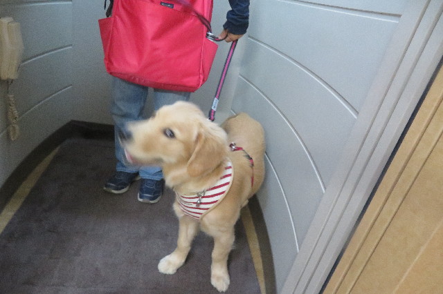 ファイル 6674-4.jpg