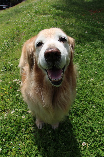 ファイル 6675-4.jpg