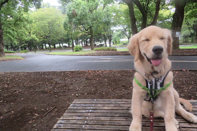 ファイル 6675-5.jpg