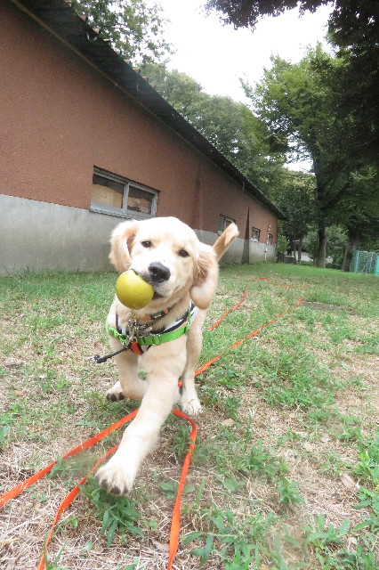 ファイル 6677-2.jpg