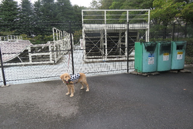 ファイル 6677-4.jpg