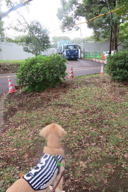 ファイル 6677-5.jpg