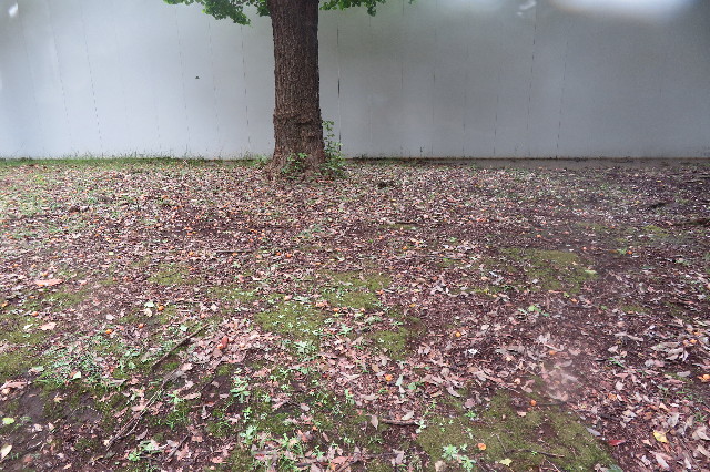 ファイル 6678-3.jpg