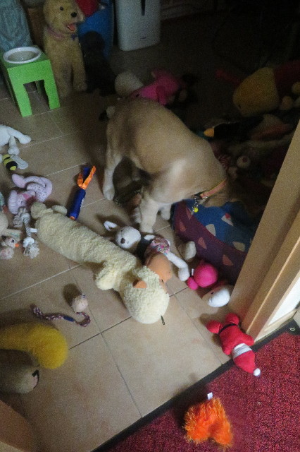 ファイル 6679-1.jpg