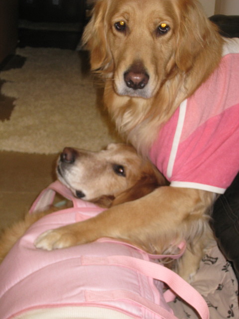 ファイル 668-4.jpg