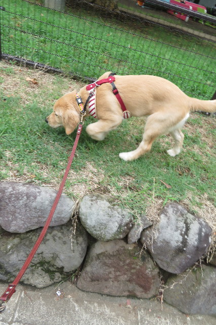 ファイル 6681-4.jpg